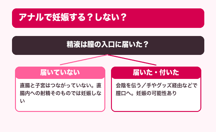 アナルで妊娠する？しない？ 見分け方
